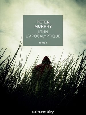 cover image of John l'apocalyptique